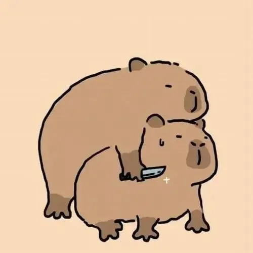 Ảnh avatar Facebook capybara đơ ánh nhìn vô định