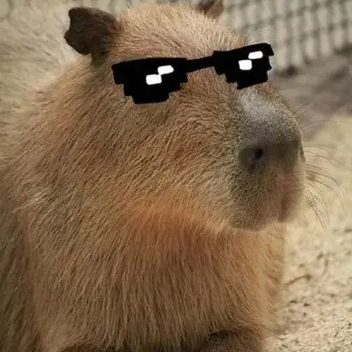 anh avatar capybara vo tri hai huoc 27