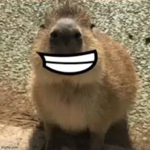 Capybara văn hóa chill thể hiện qua biểu cảm trống rỗng