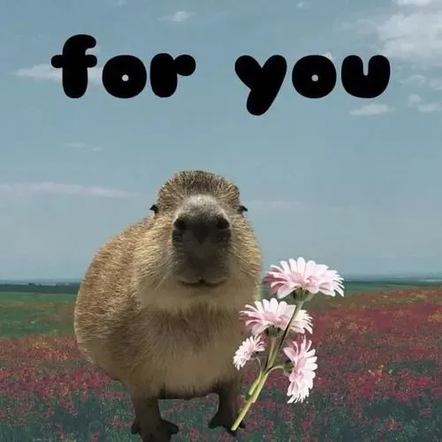 Hình đại diện ngầu capybara vô cảm theo phong cách meme