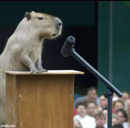 Hình đại diện cute capybara vô tri bố cục đơn giản