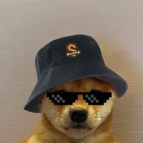 anh avatar con cho ngau 24