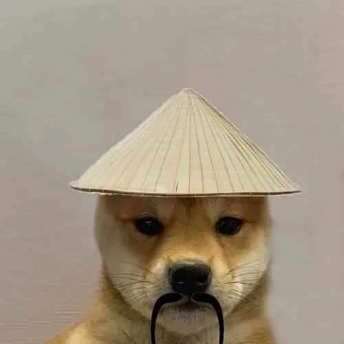 anh avatar con cho ngau 33