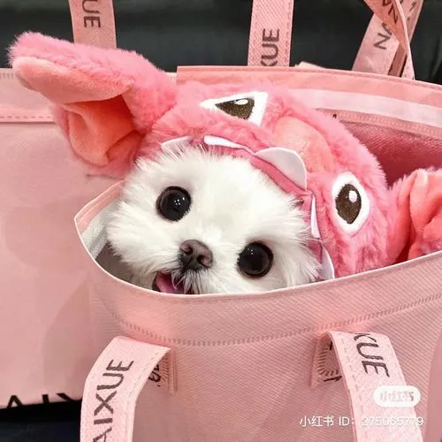 Ảnh đại diện dễ thương tông màu hồng pastel cho cô gái cảm xúc ngọt ngào