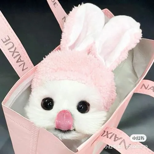 Avatar cute hồng phấn biểu cảm hiền cho cô nàng