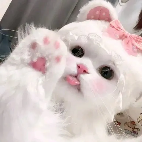 Giảm cảm giác căng thẳng với màu hồng nhẹ nhàng