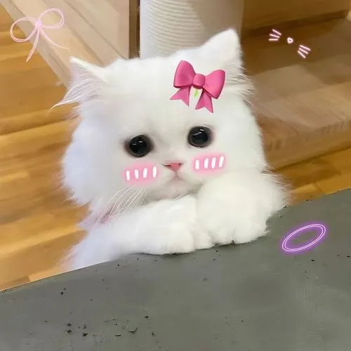 Tổng thể dễ thương nhờ ánh sáng và biểu cảm đáng yêu