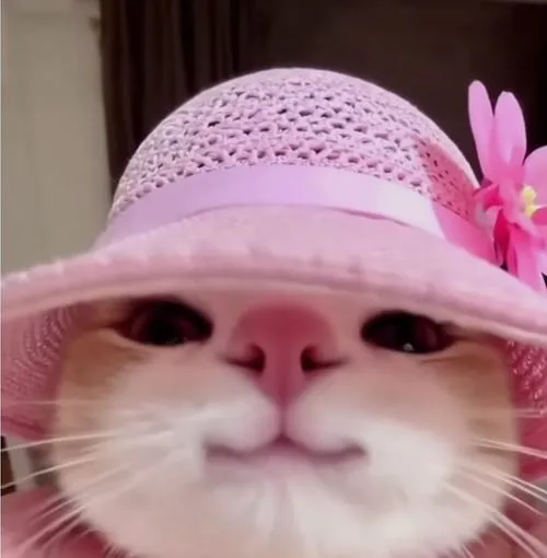 anh avatar mau hong nu cute 54