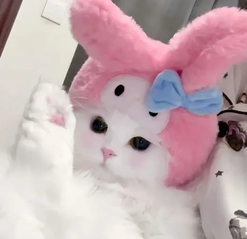 anh avatar mau hong nu cute 57