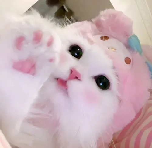 anh avatar mau hong nu cute 60