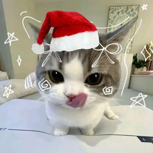 anh avatar meo giang sinh 34