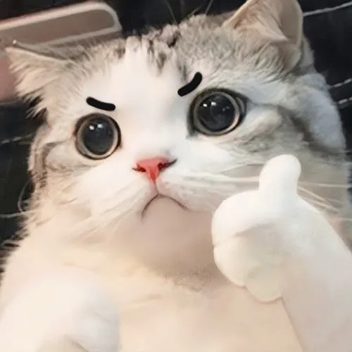 Khoảnh khắc meme vô tri tạo hiệu ứng gây cười