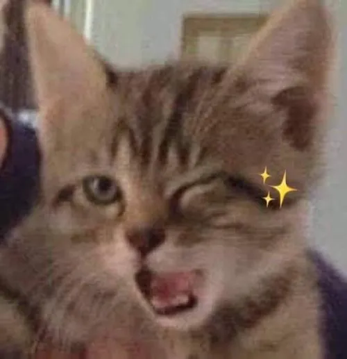 avatar meo meme hai huoc 43
