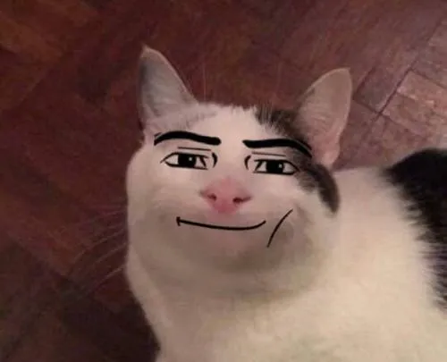 avatar meo meme hai huoc 52