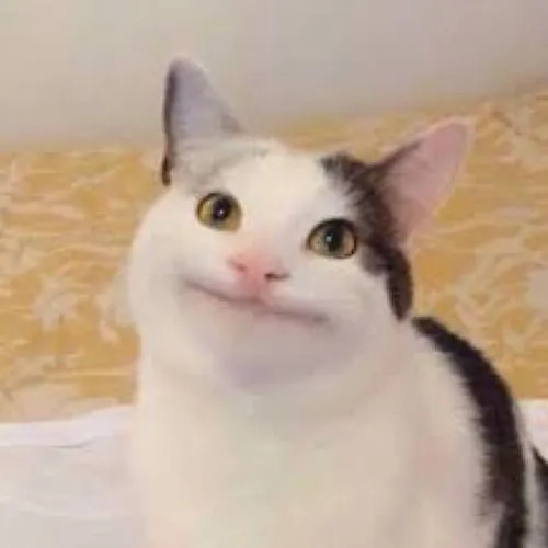 avatar meo meme hai huoc 59