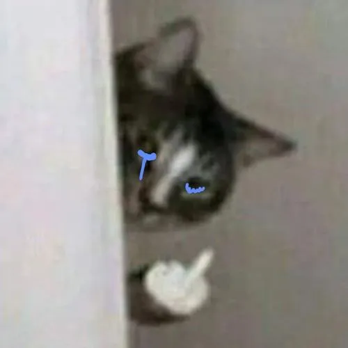 avatar meo meme hai huoc 65