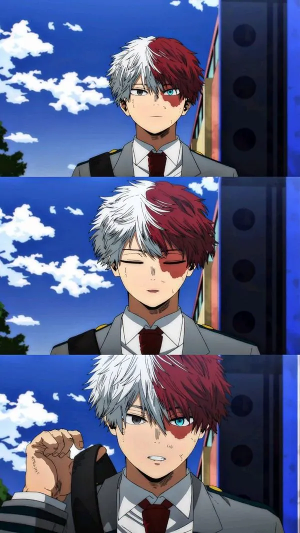 hinh anh shoto todoroki ngau 12