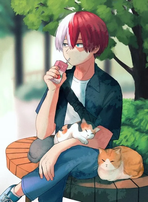 hinh anh shoto todoroki ngau 20