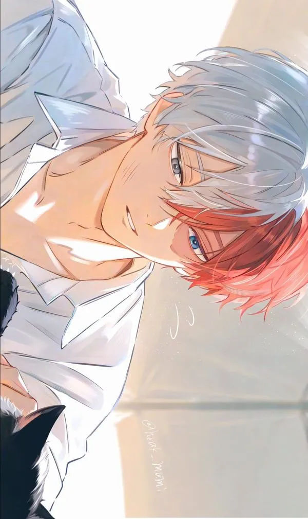 hinh anh shoto todoroki ngau 24